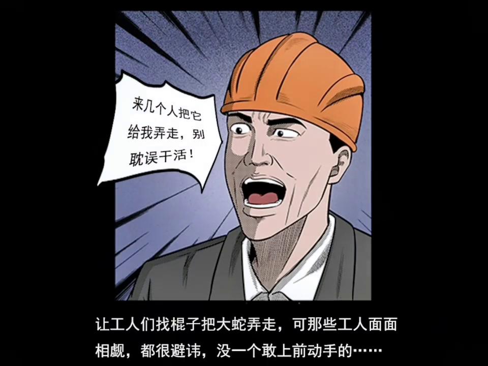 民间故事大蛇救主视频,民间故事大蛇渡劫