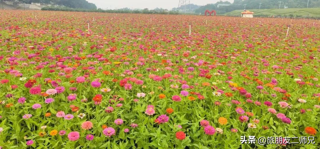 佛山三水白坭附近的旅游景点,佛山三水出发黄姚古镇旅游攻略