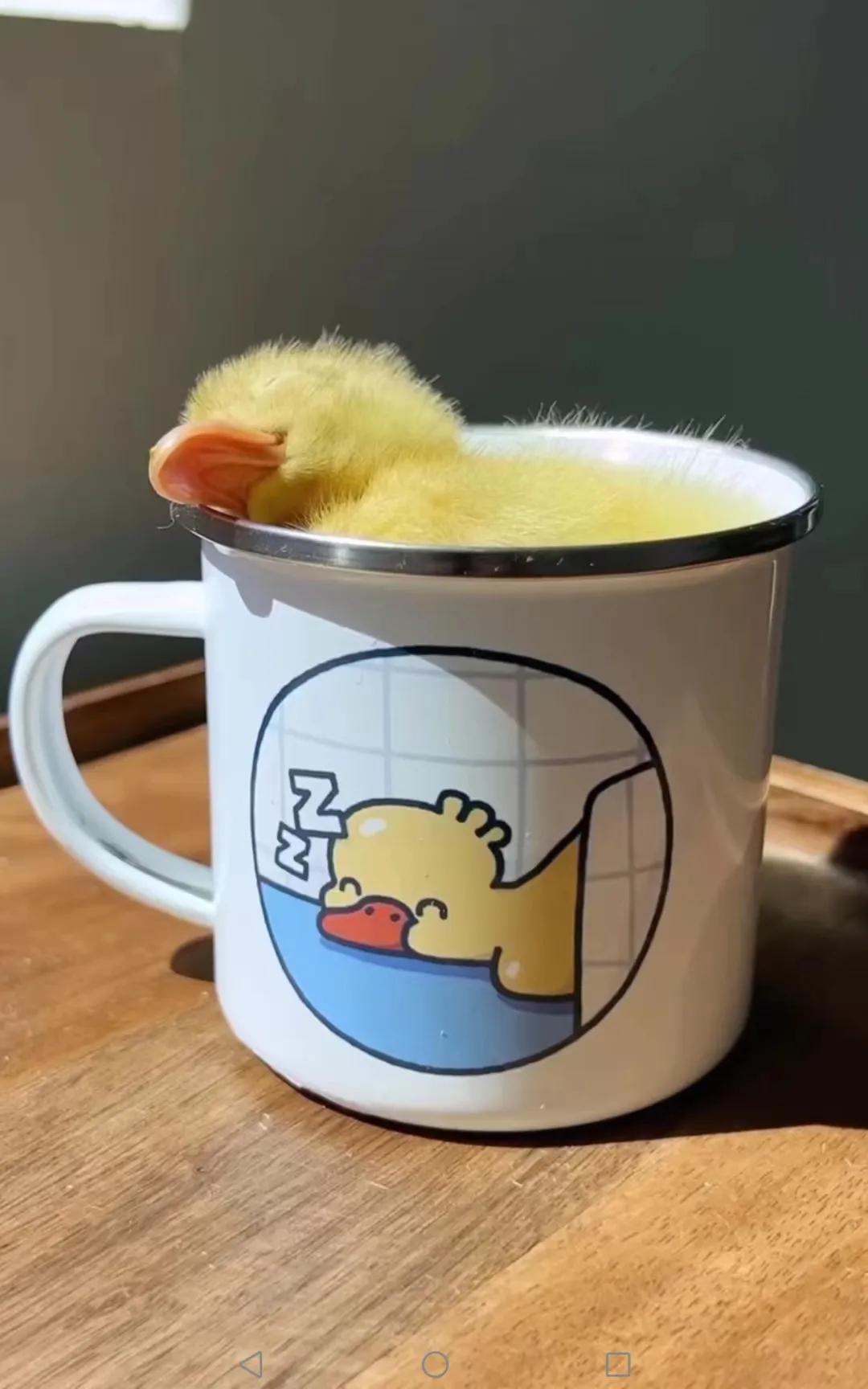 泰国感染轻微新冠怎么治疗,在泰国被感染新冠病毒后该怎么办