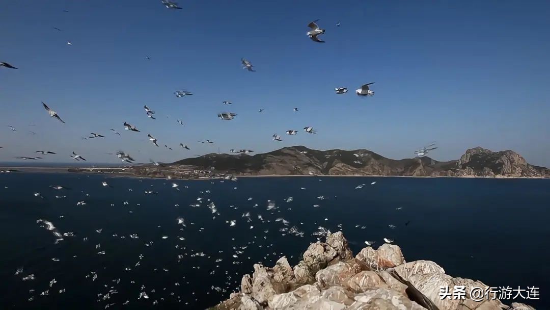 大连世界遗产景区,大连世界文化遗产有几个