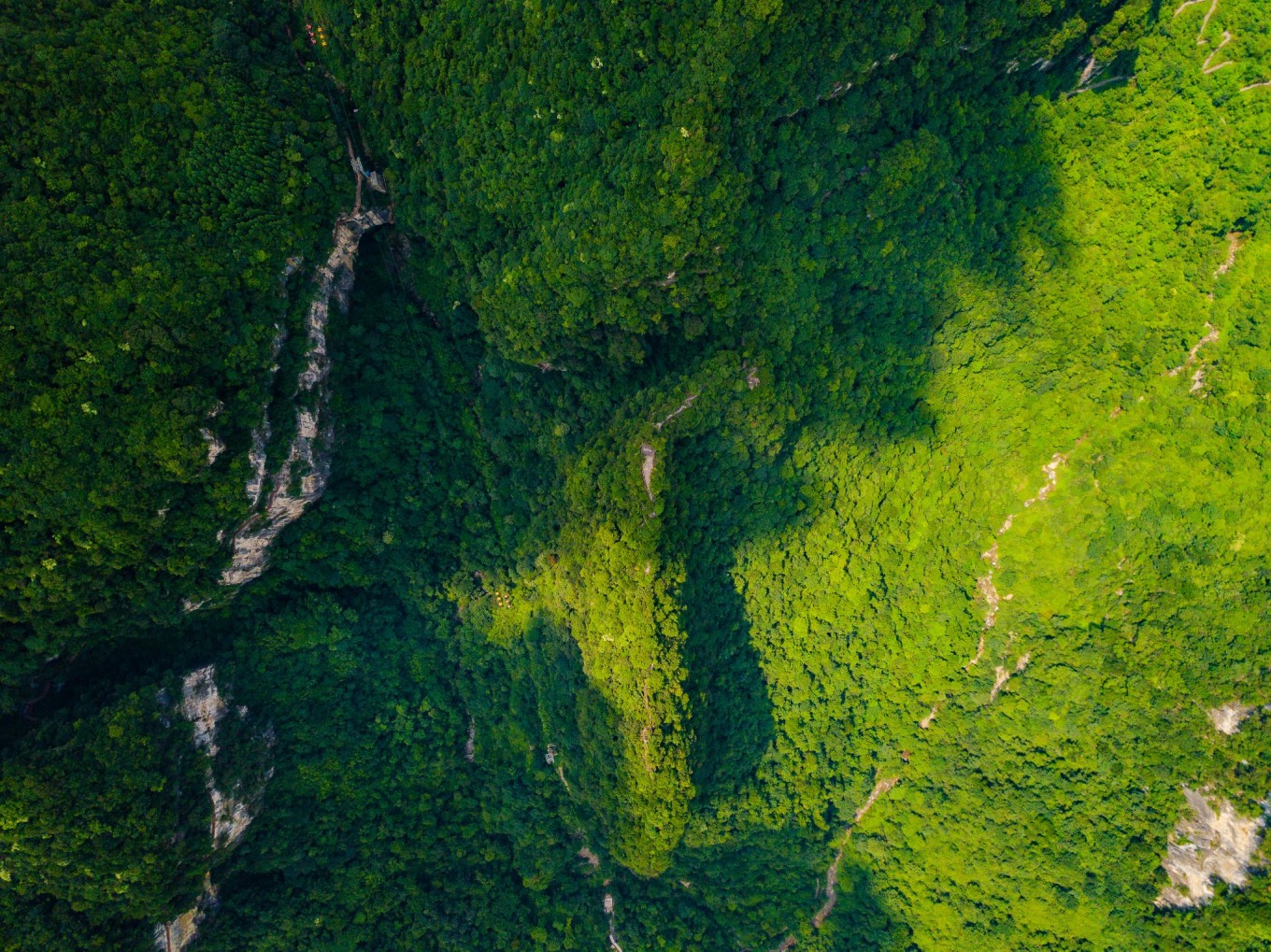 毕节油杉河景区,贵州夏季的避暑景点