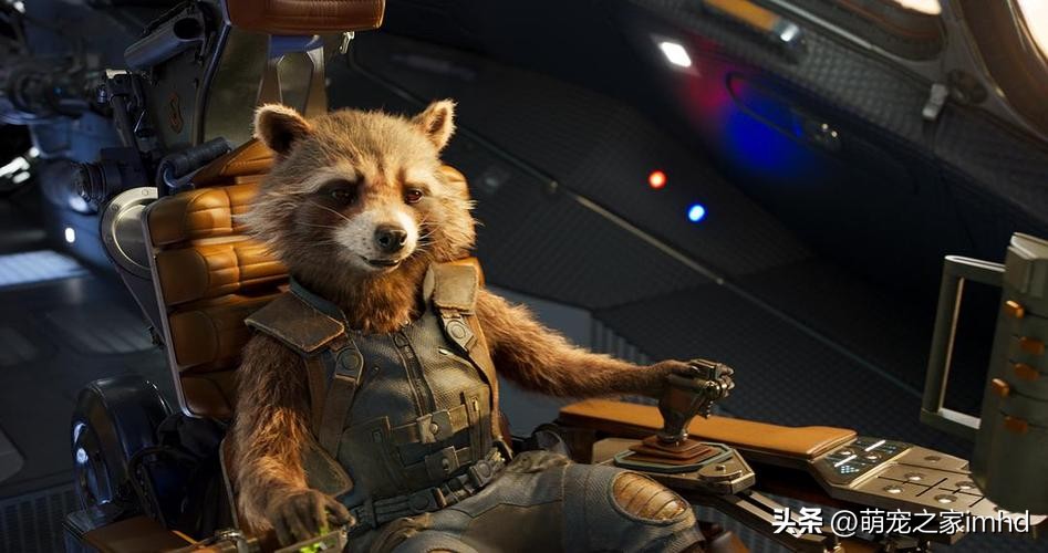 盘点小浣熊的迷惑行为,小浣熊防御姿势