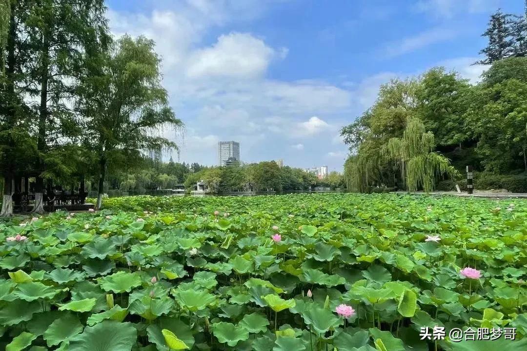 合肥有价值的老房子,合肥市区老房子还有价值吗