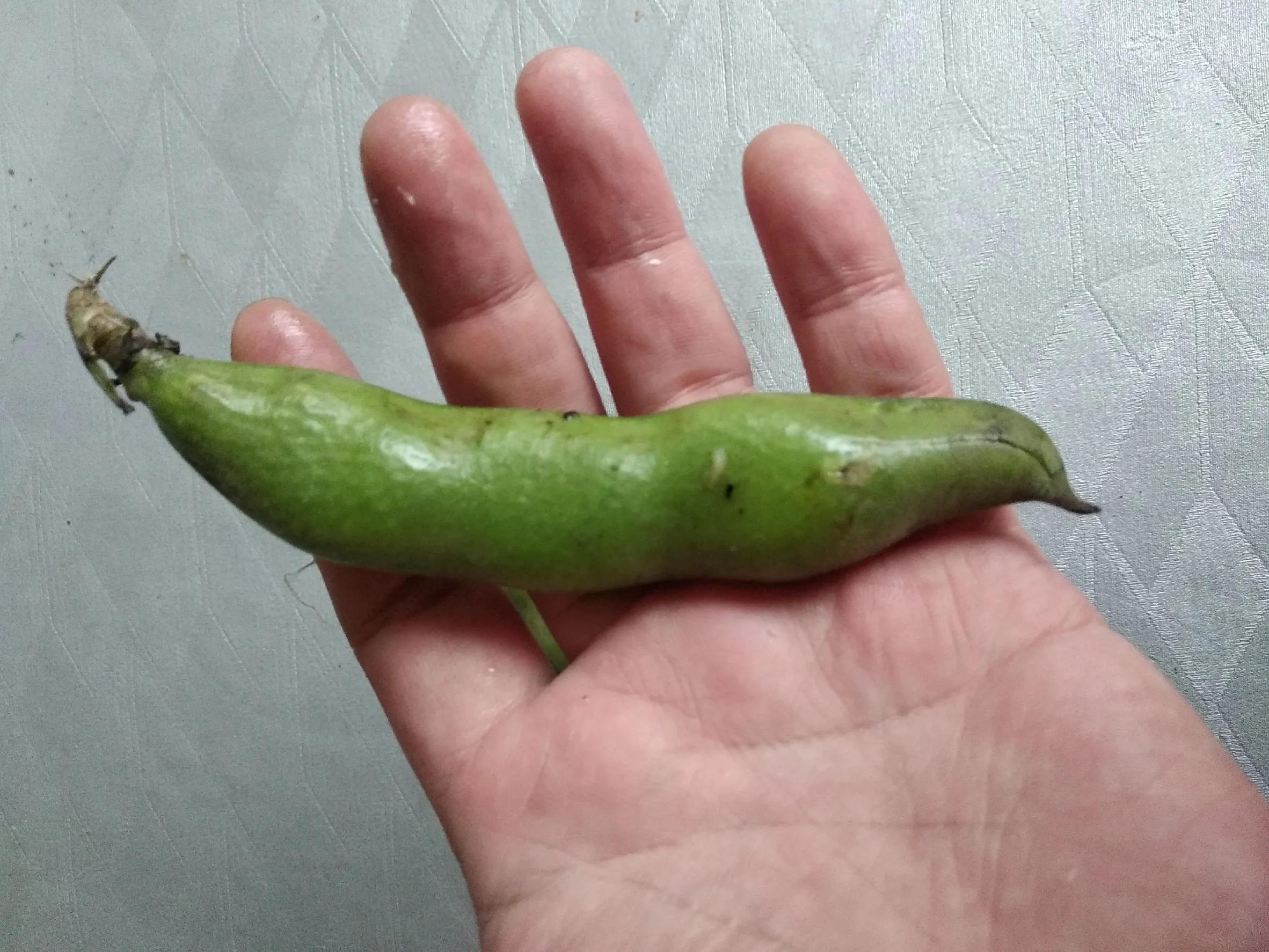 明日立夏蔬菜食谱,明日立夏养心食物