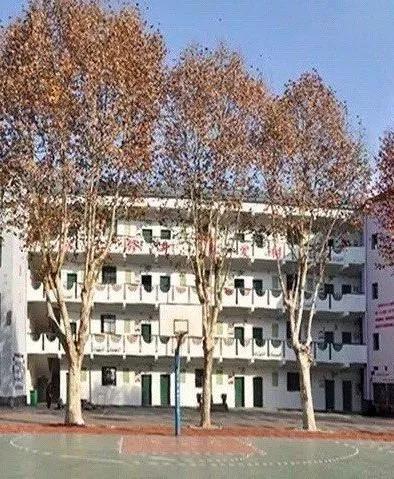 武汉市第六十三中学升学率,武汉市第六十三中学周翔