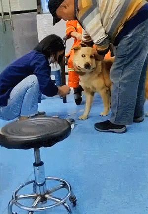 5,福利就是高清*码无**