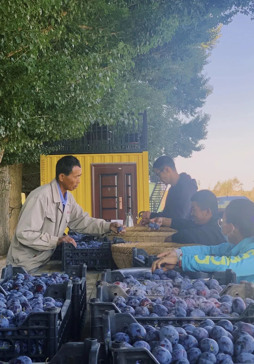 电商助农运营总结,电商助农营销计划