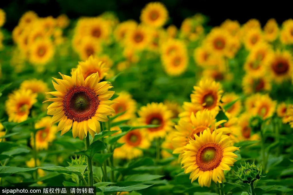 北京户外公园,北京周末好去处户外