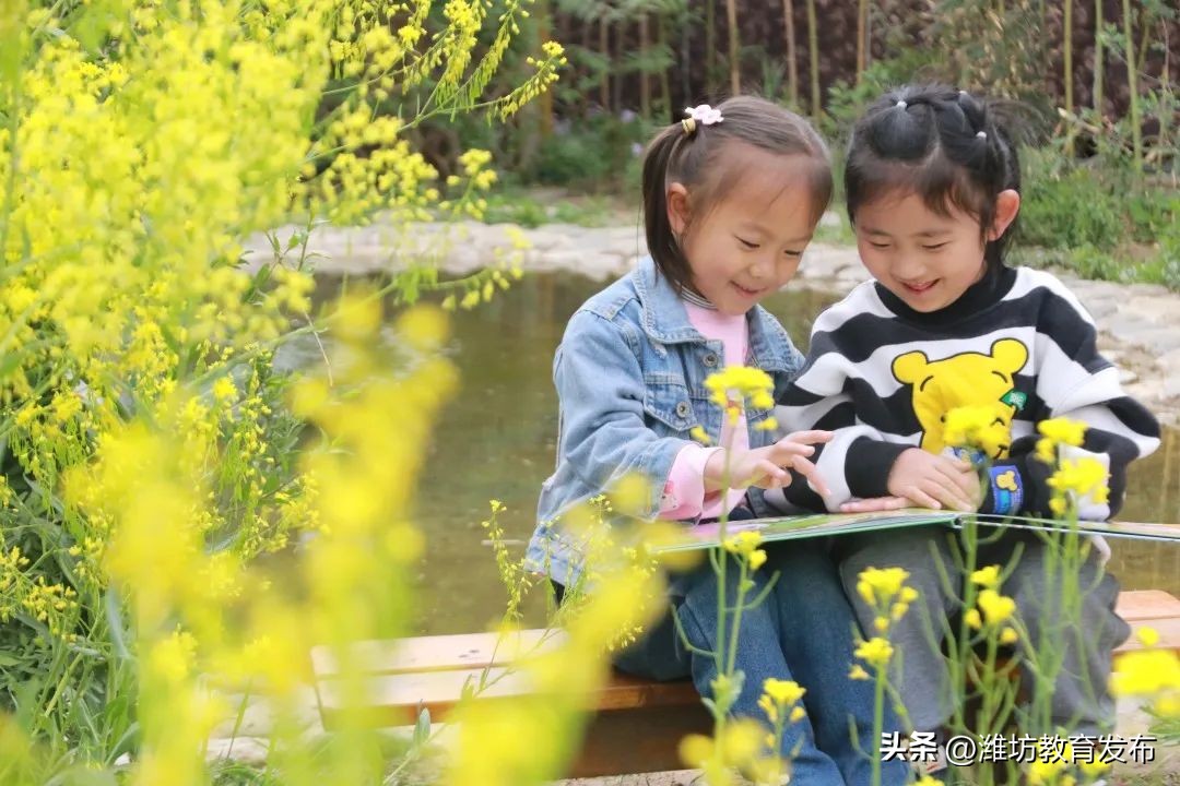 美！潍坊校园春景强势来袭