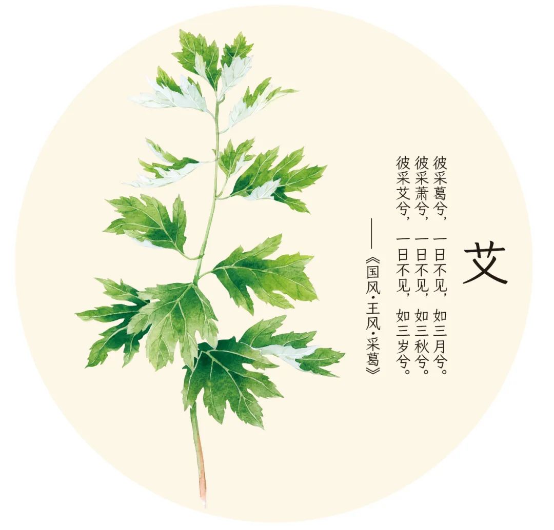 感冒熏艾条熏哪个部位效果最好,熏艾条能不能祛寒