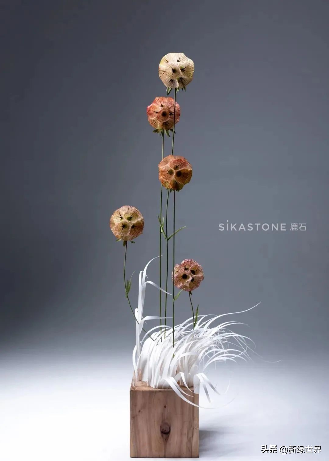 一组纸艺作品,令人惊艳的纸艺作品