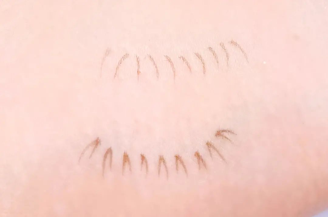 低至10元便宜好用国货护肤品推荐,一年买多少钱的化妆品才适合