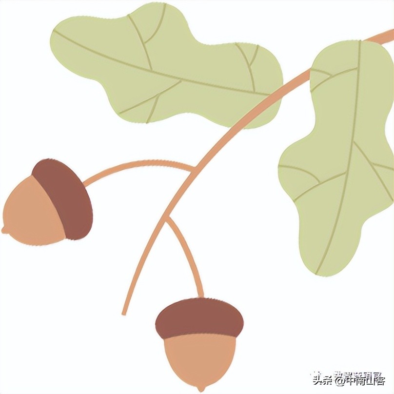 当在社交媒体上发布产品时，结果适得其反