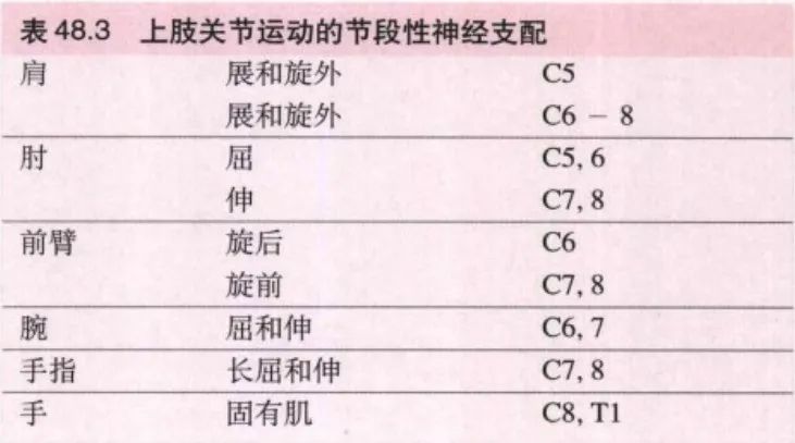 脊神经支配区域解剖图简图,脊神经及其分支的支配范围