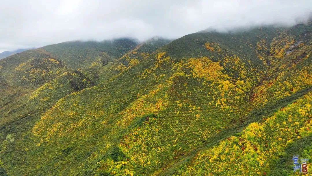 蓬勃古邑品质榆中