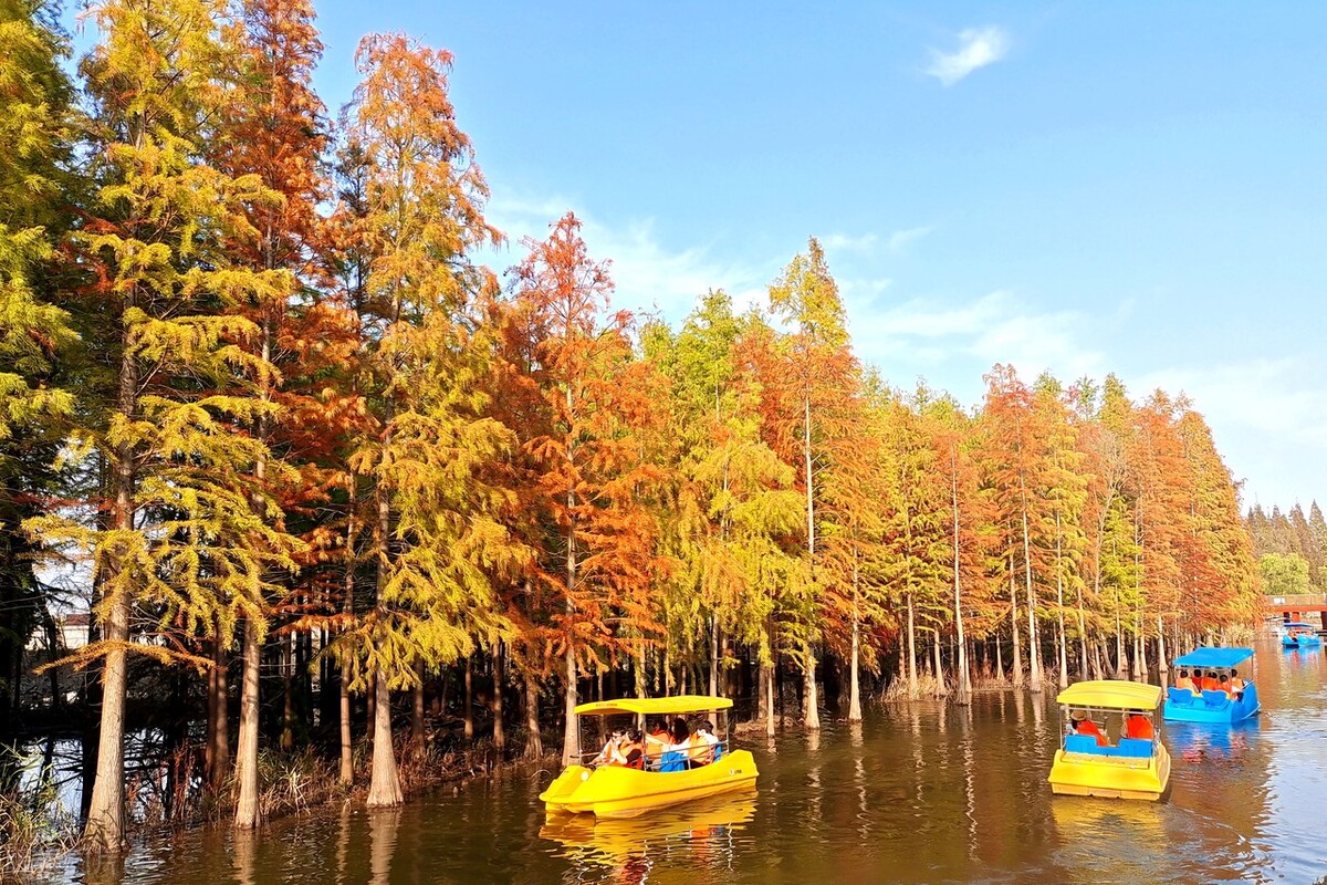 上海游玩免费景点推荐,上海推荐逛的免费景点