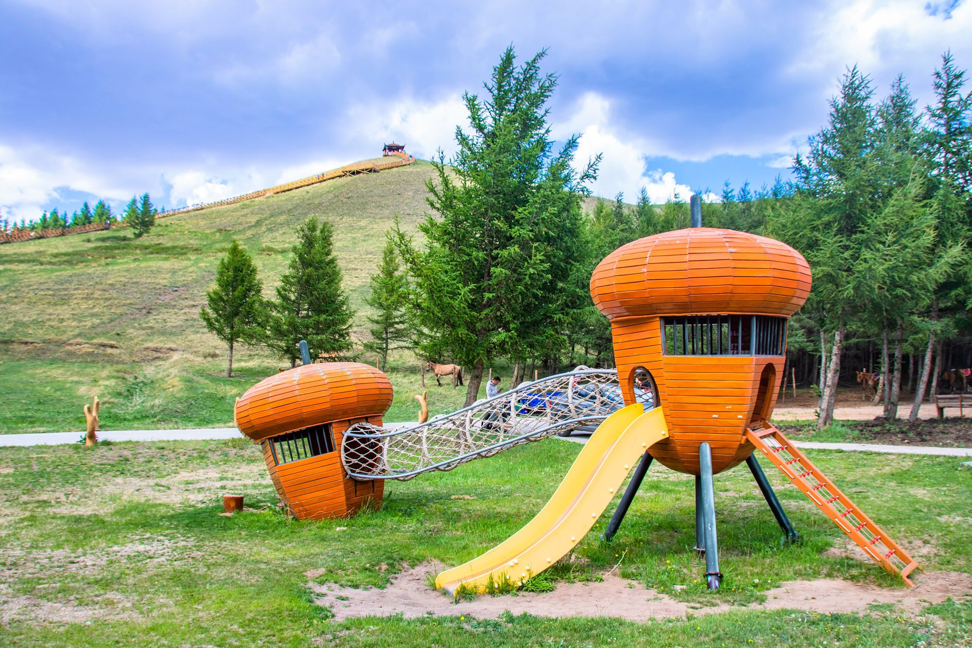 丰宁坝上七彩森林游玩攻略,丰宁坝上七彩森林