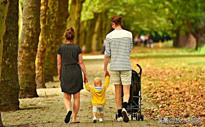 养育男孩的方法书,养育孩子的道理和方法