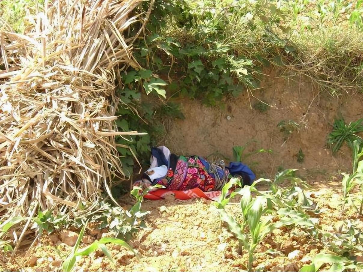 2005年，四川八岁女孩身患白血病，自愿放弃治疗，安排自己的后事