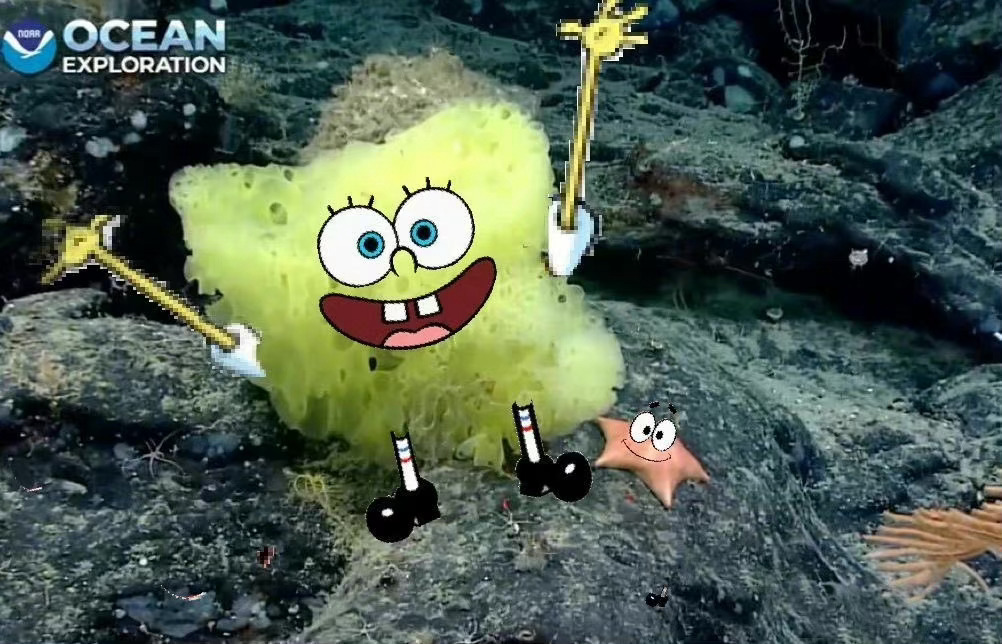 霉霉发歌diss水果姐,霉霉diss新消息