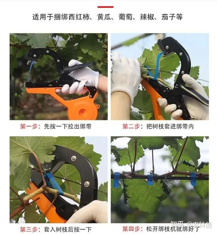 葡萄绑枝器哪个牌子好,葡萄绑枝的最佳方法
