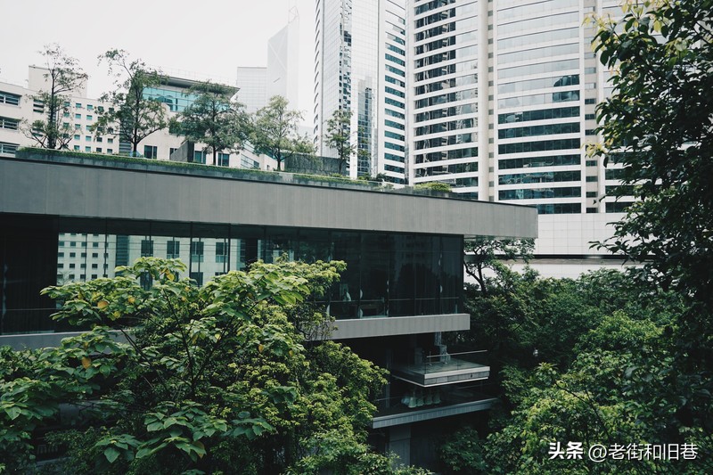 罗生门和黄粱梦,罗生门香港live