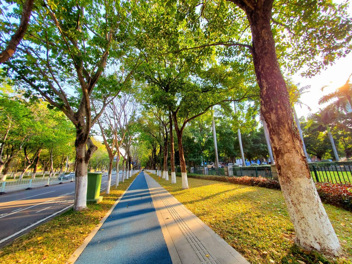 三星s10升级安卓11用后感受,三星s10支持安卓12更新吗