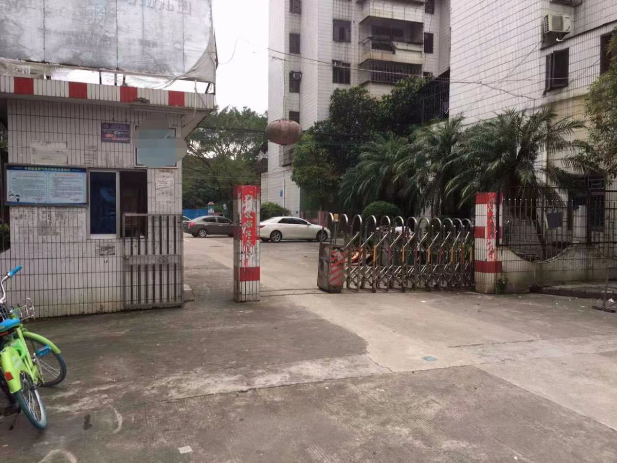 农村人在深圳摆摊能挣多少钱,摆摊卖干果生意好做吗