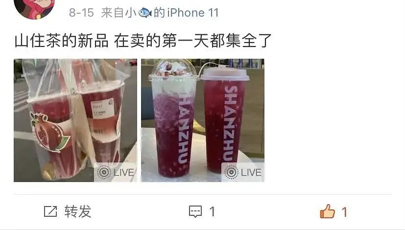 山住茶新品测评,山住茶杨梅系列测评