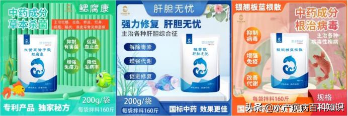 高温天气池塘死鱼是什么原因,天气热怎么预防死鱼