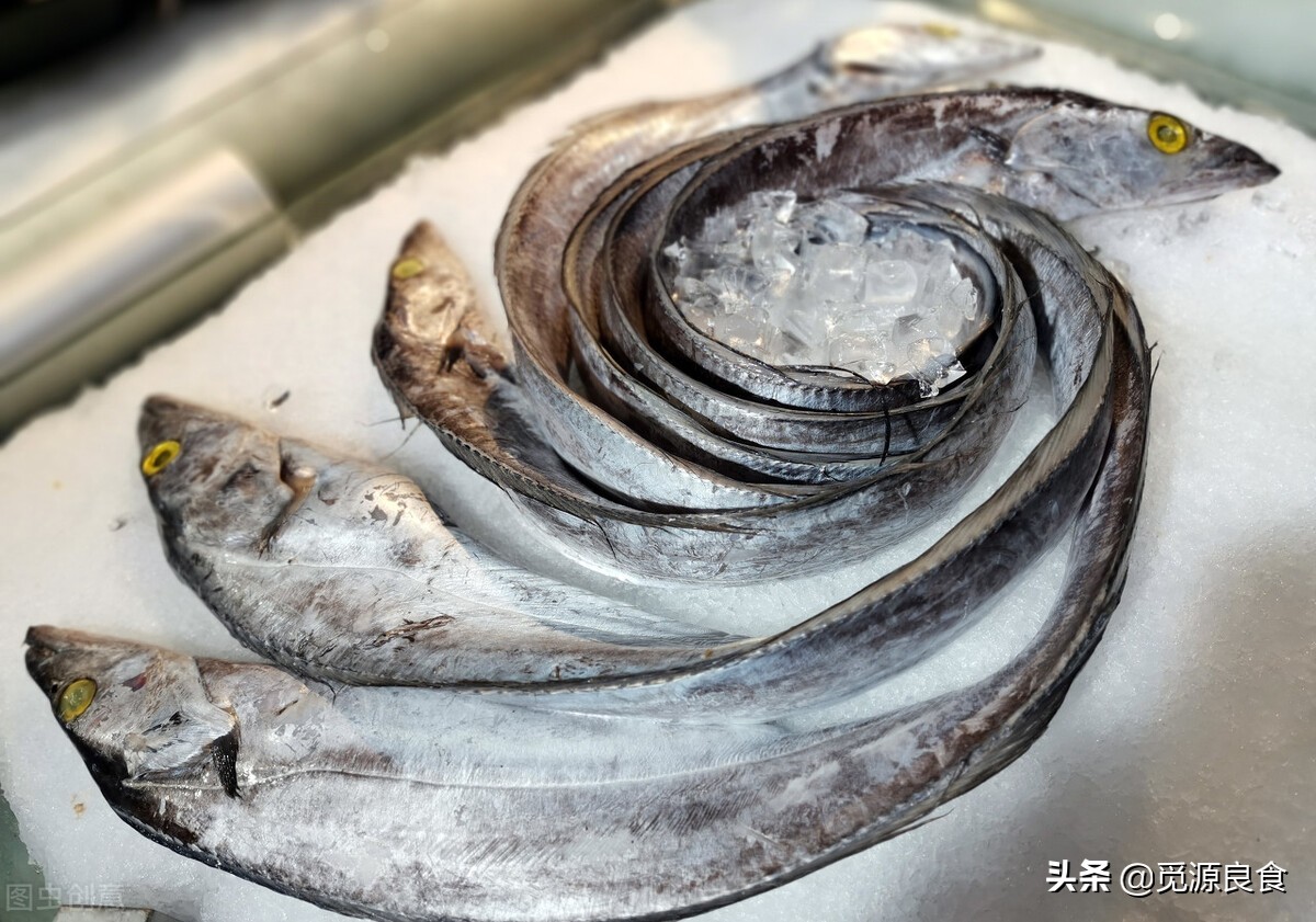 鲜带鱼和冻带鱼的区别和价格,带鱼多少钱一斤今天的价格