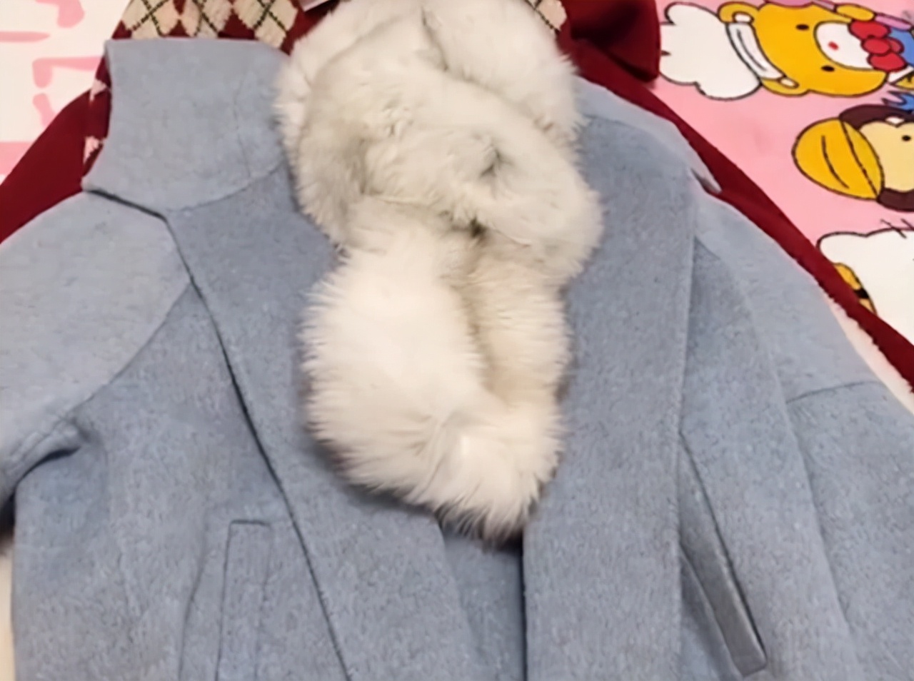 女子吐槽旧衣服,女子吐槽每件旧衣服理由不重样