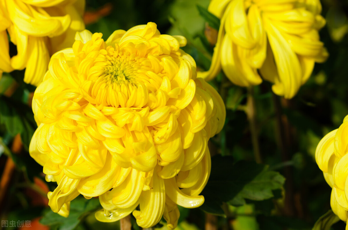 郭进栓汝州,郭进栓