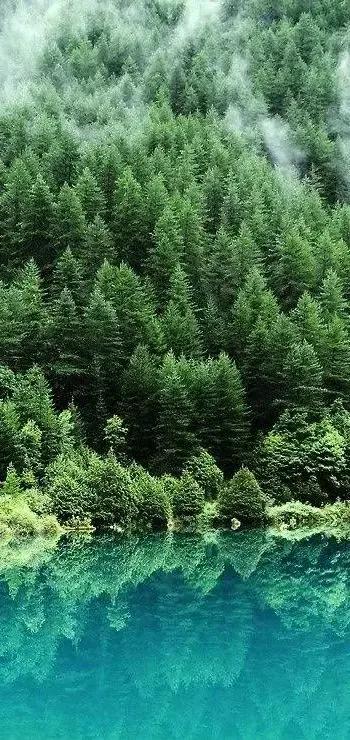 2022年壬寅年带有天干地支的日历,农历2022年十月初一壬寅虎年