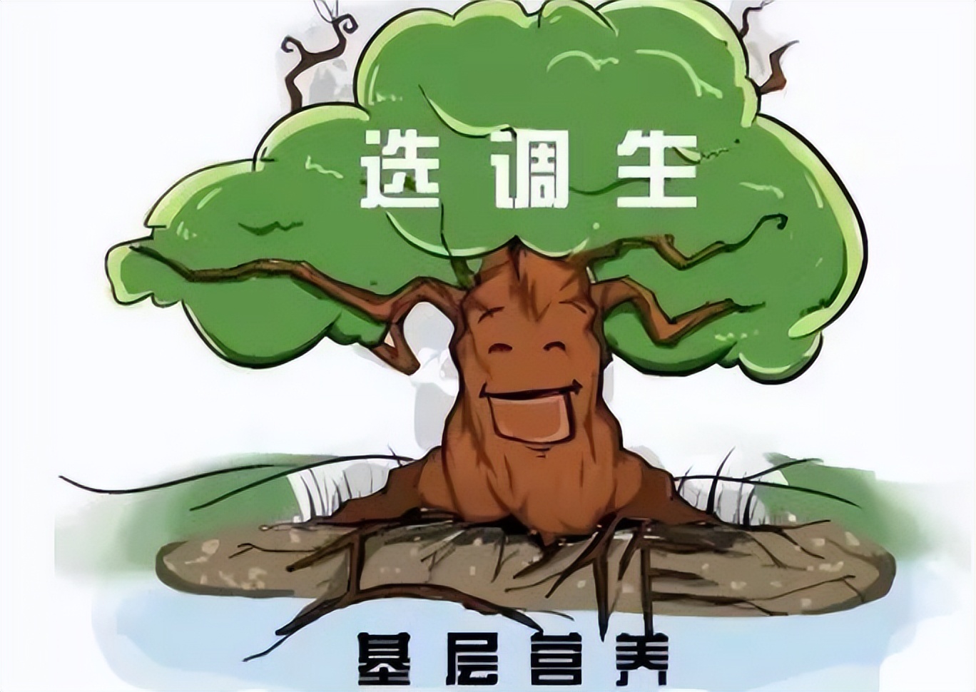 2022河南三门峡选调生条件,2022河南普通选调生录用名单