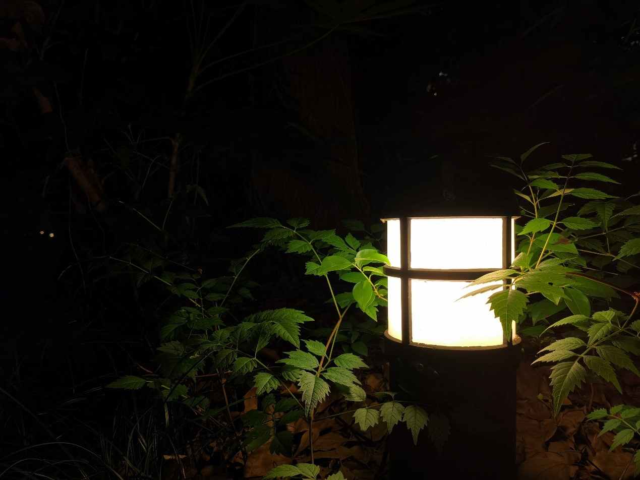 华为p30pro夜景拍摄技巧,华为夜景拍摄倒计时怎么关闭