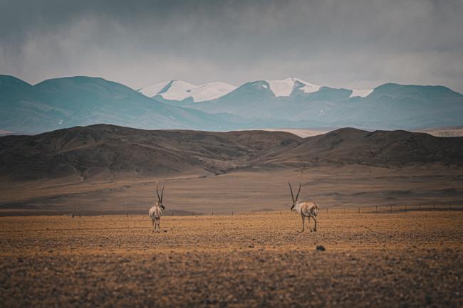 探寻藏地秘境——卡西欧ProTrekPRW-6800Y保驾护航