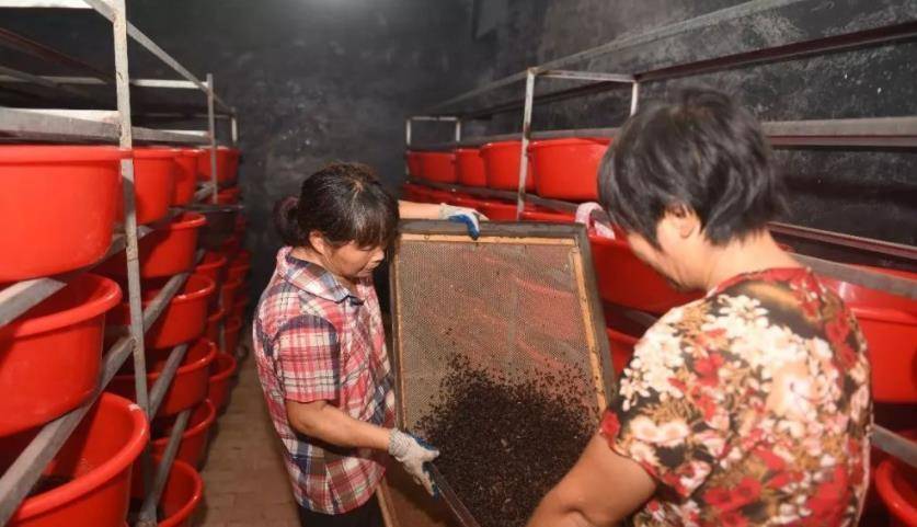 公务员辞职养蟑螂现在成亿万富翁,公务员辞职养蟑螂