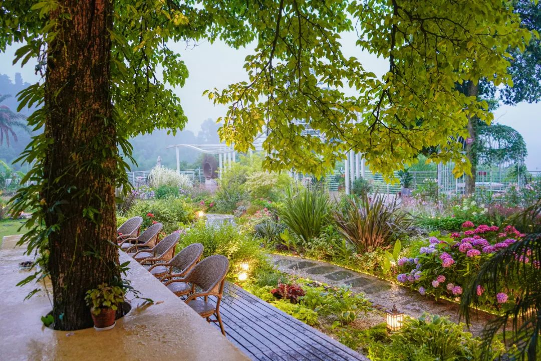 躲进山里民宿,躲在深山老林的民宿