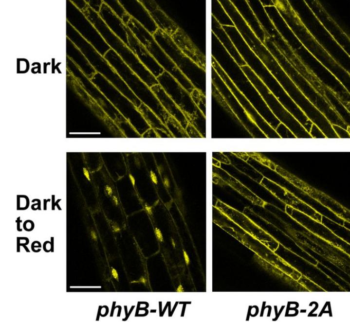 科学家：银河系或许存在大量外星人，也许就藏身冰下黑暗海洋