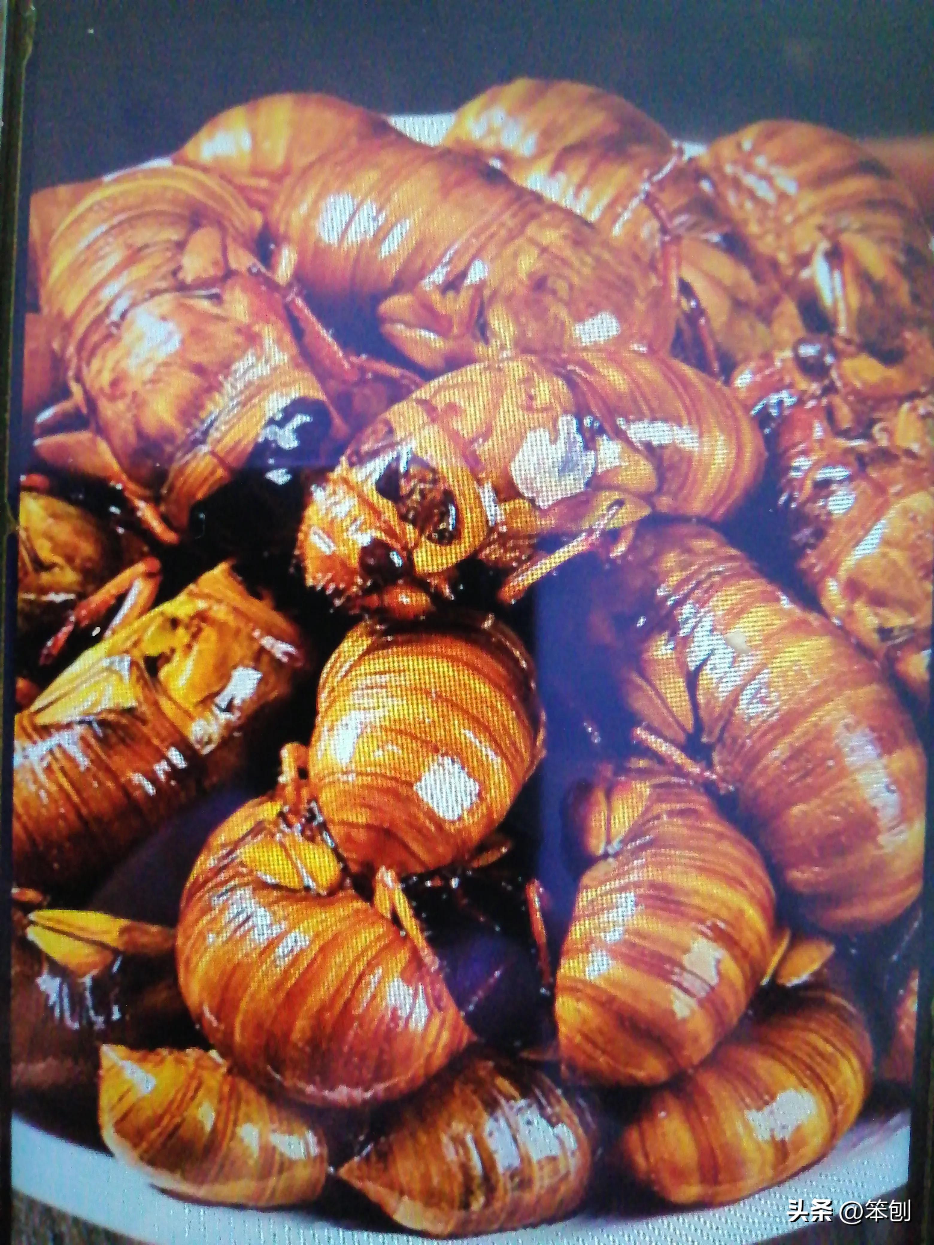 金蝉养殖前景好铺就致富路,金蝉养殖需投资多少钱才能赚钱呀