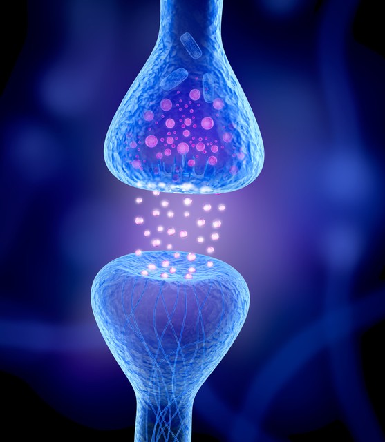 食物中含有的七大营养素图,食物中的六大营养素是什么