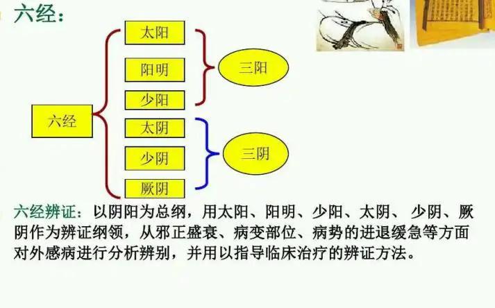 六经辨证，能知道你病在哪个部位！这样治斑秃，效果明显