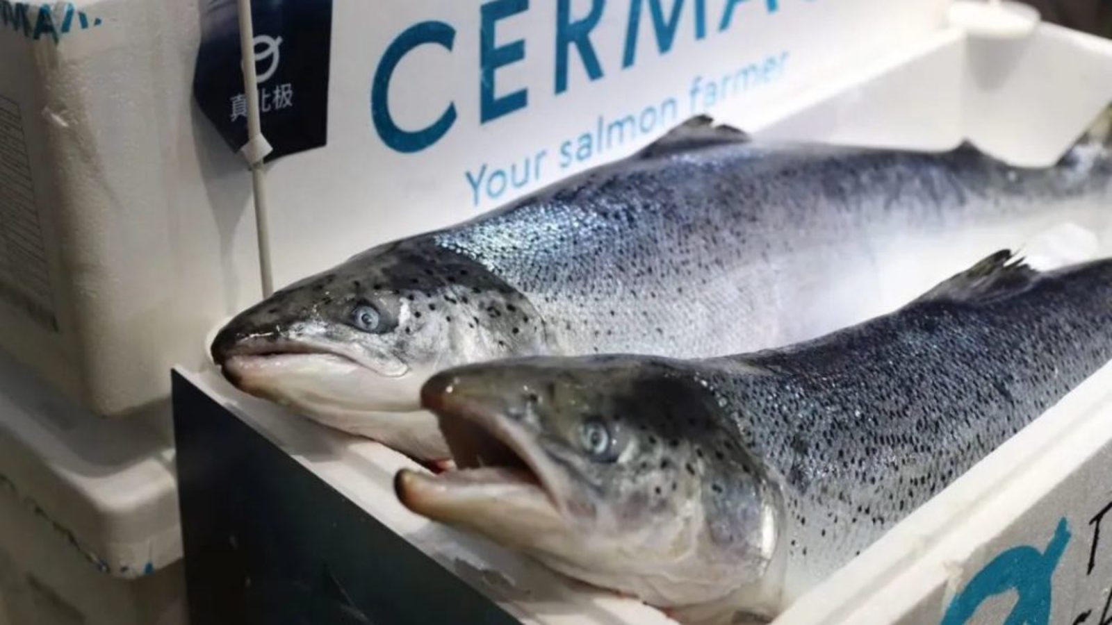 世界上最大的30家海鲜供应商