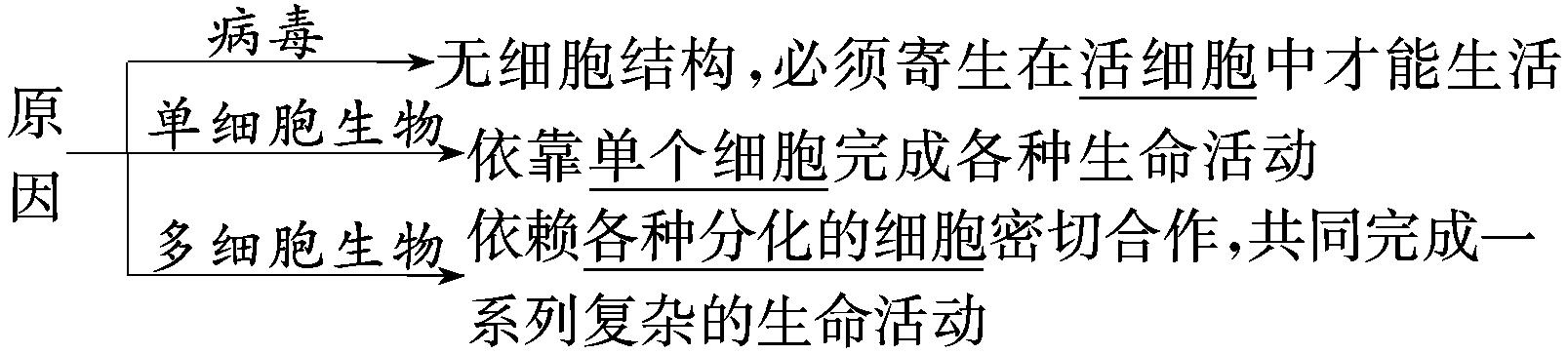 细胞生物学细胞知识点,第一章走进细胞知识点归纳整理