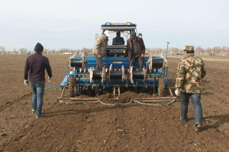 “小雪不分股，大雪不出土”，指啥意思？小雪节气还能种小麦吗？