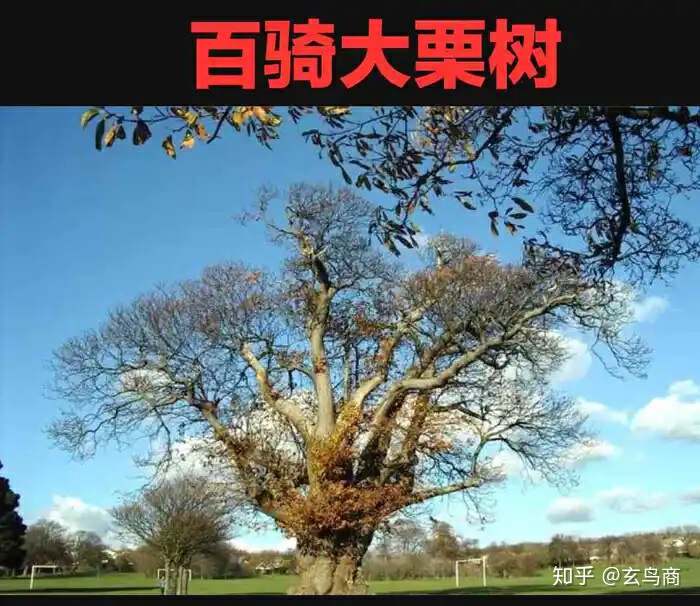 山海经2012白话全译彩图版pdf,山海经海外西经是指哪里