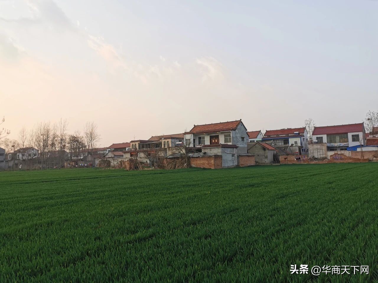 佳木斯买的大米被扔进垃圾桶,佳木斯大米倒垃圾桶后续跟进