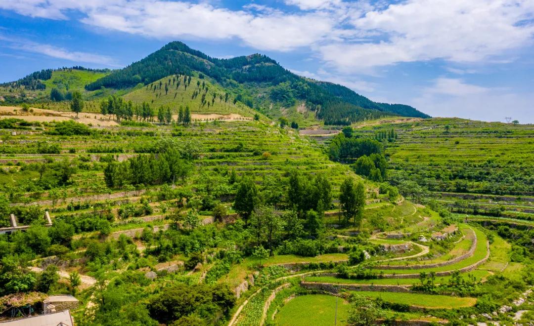 济南夜市网红打卡地点,济南网红打卡地经三路