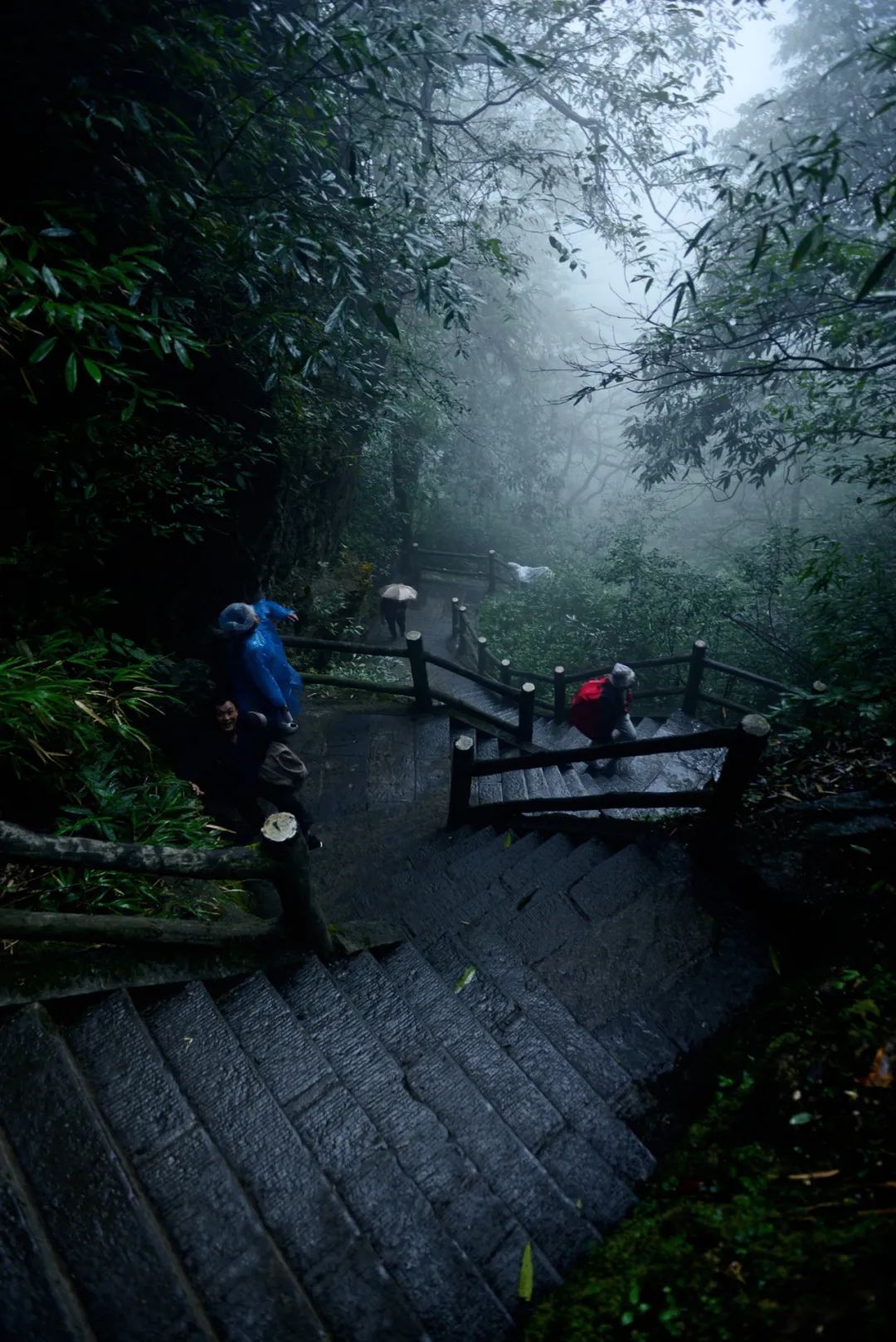 不上峨眉山自驾一日游最佳攻略,峨眉山全程不用步行攻略